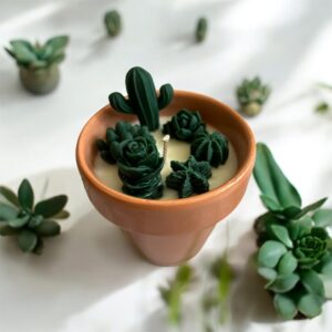 Bougie Succulente en Pot de Terre Cuite – Charme Naturel & Parfum Subtil