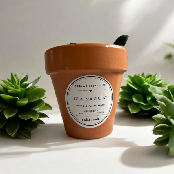 Bougie Succulente en Pot de Terre Cuite – Charme Naturel & Parfum Subtil - Image 2